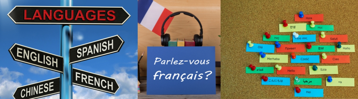 French Language Course: Mastering the Basics